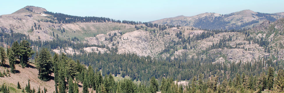 golfer putting, California