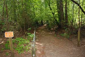 Rock Creek Nature Trail, Highway 20, CA