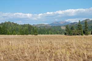 Bear Valley, along the Donner-Truckee Emigrant Trail, CA