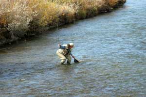 fly fishing in the Tahoe National Forest, CA