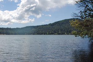 Photo of Scotts Flat Lake, Nevada County, CA